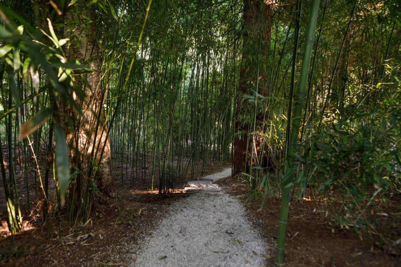 Finca La Peniga Mazcuerras Екстер'єр фото